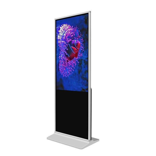 Top Top