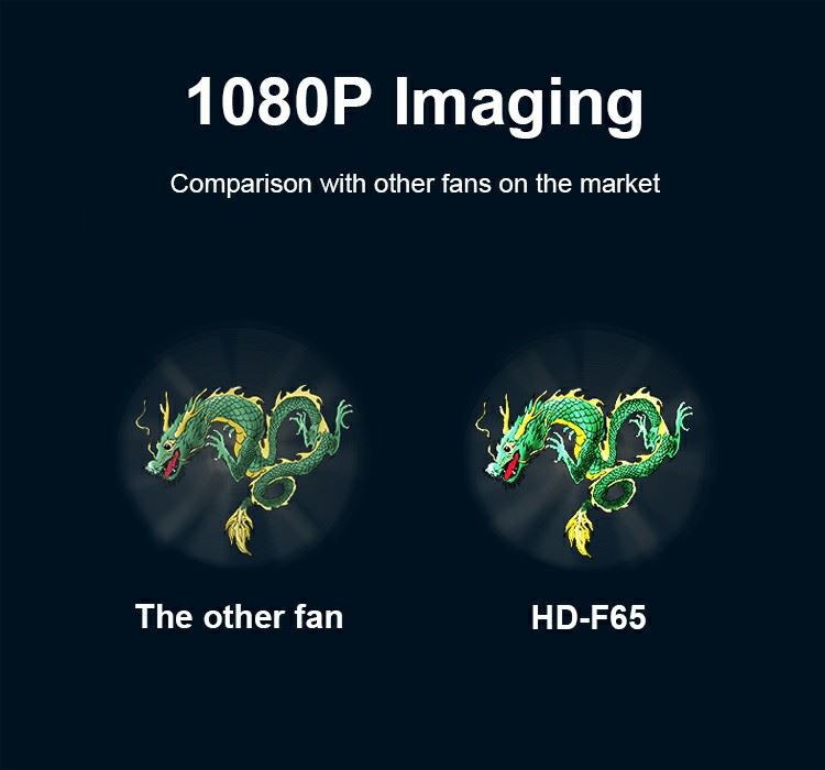 New F65 Details 5